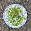 Poivron vert julienne